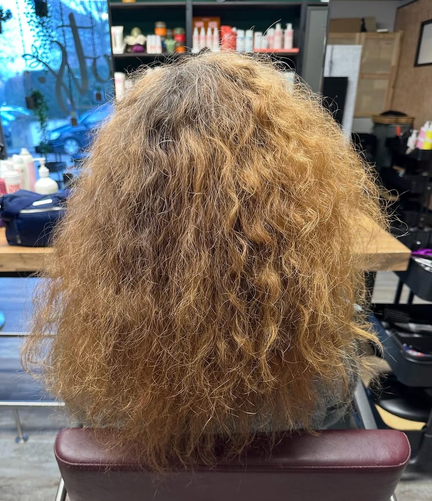 Langes lockiges Haar vor Farbe, Schnitt und Styling