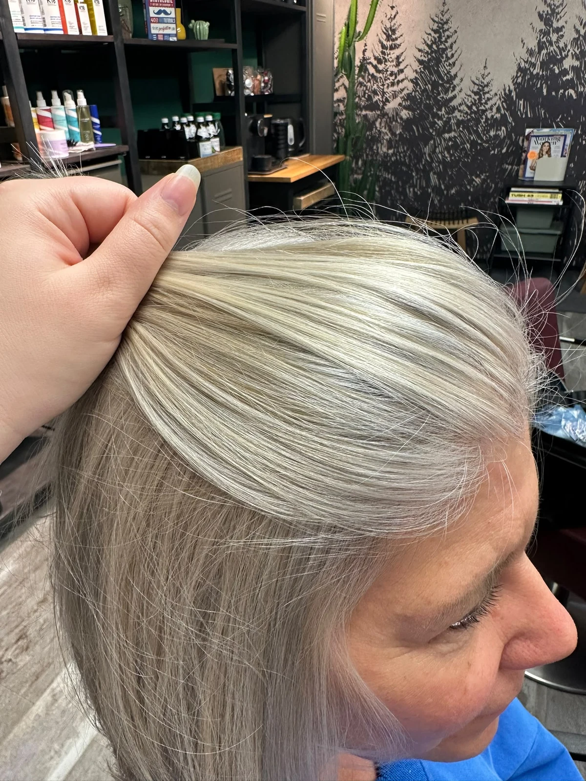 Nahaufnahme des weiß-grauen Ansatzes mit feinen hellen Übergängen in die Längen – Grey Blending von Celine bei roots hair.